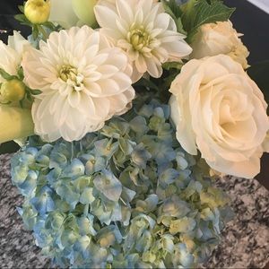 Meet your Posher, Masha